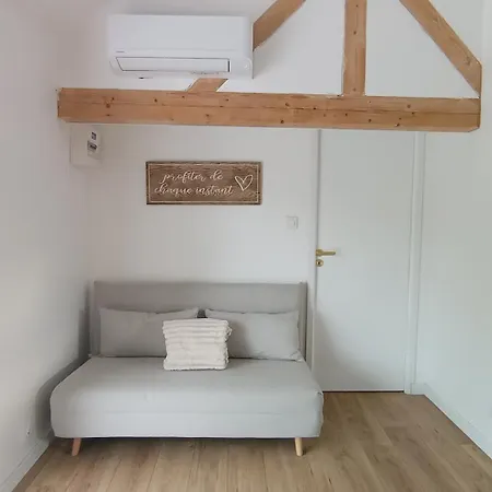 Au Bord De La Riviere Apartamento Rhinau