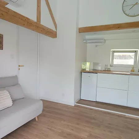 Apartamento Au Bord De La Riviere Rhinau